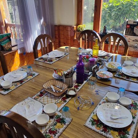 Aroma Taru Villa / Cottage ,Manali Екстер'єр фото