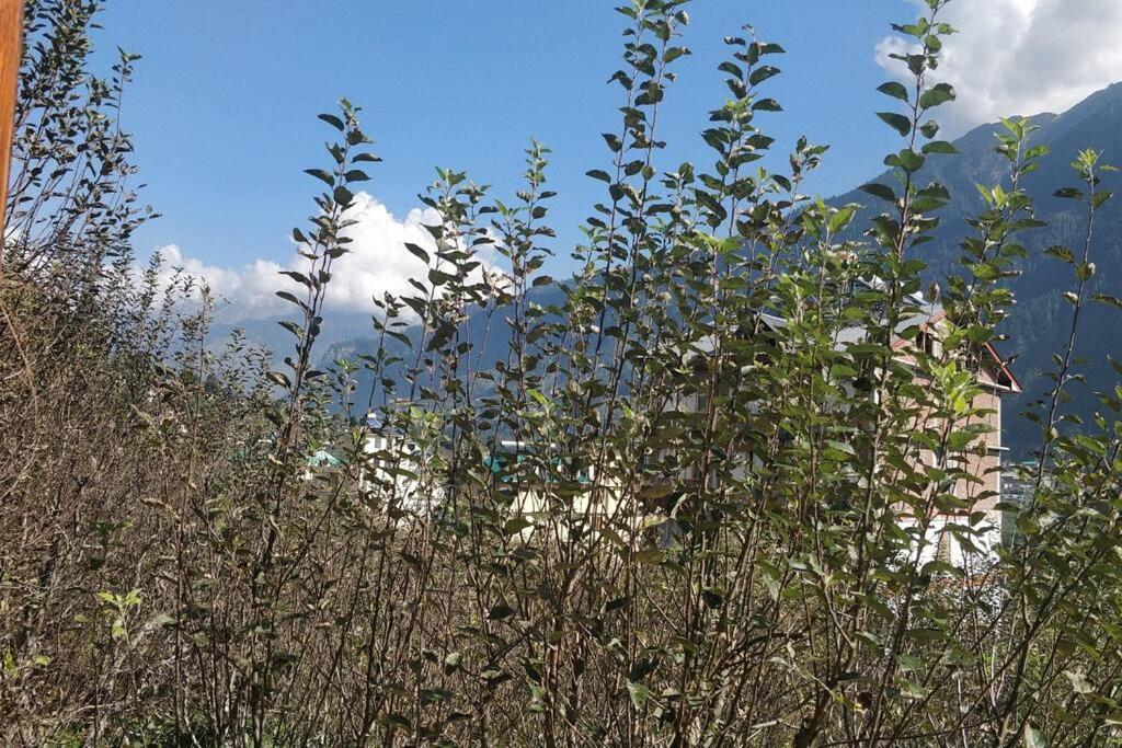Aroma Taru Villa / Cottage ,Manali Екстер'єр фото