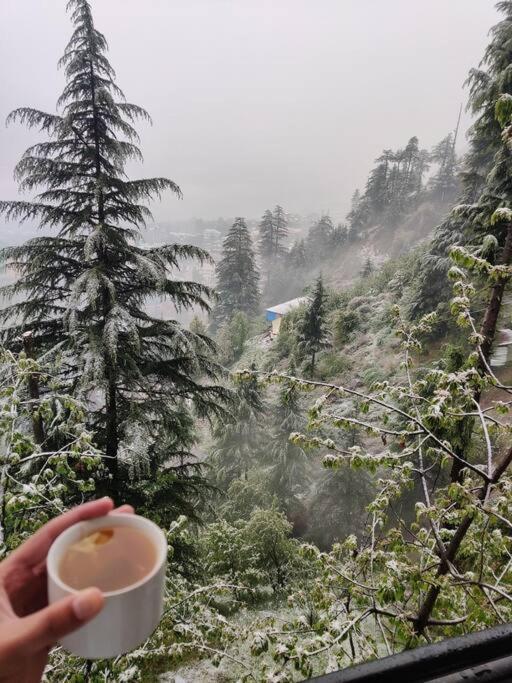 Aroma Taru Villa / Cottage ,Manali Екстер'єр фото