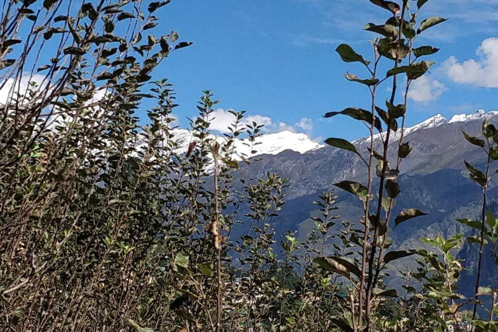 Aroma Taru Villa / Cottage ,Manali Екстер'єр фото
